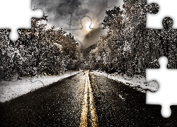 Droga, Drzewa, Śnieg, Słońce
