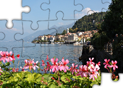 Jezioro, Como, Kwiatki, Bellagio, Włochy