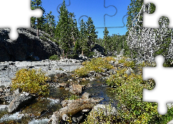 Stany Zjednoczone, Stan Kalifornia, Park Narodowy Yosemite, Kamienie, Rzeka, Las