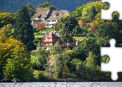 Domy, Drzewa, Rzeka, Zurych, Szwajcaria
