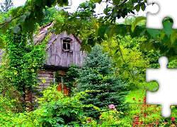 Drewniany, Dom, Ogród