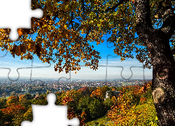Jesień, Drzewo, Panorama, Miasta