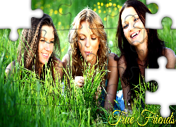 Przyjaciółki, Łąka, Trawa