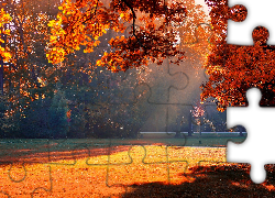 Jesień, Park, Drzewa, Mgła