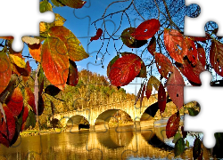 Jesień, Las, Liście, Rzeka, Most