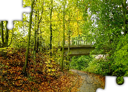 Droga, Most, Drzewa, Liście, Jesień