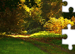 Ścieżka, Ogród, Drzewa, Jesień