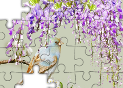 Ptaszek, Wisteria