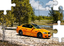 Pomarańczowe, BMW M3