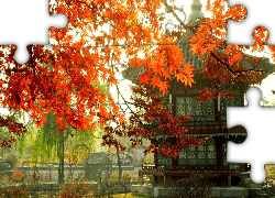 Pałacyk, Gałęzie, Jesień, Seul, Korea