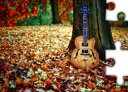 Gitara, Drzewo, Liście
