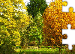 Park, Kolorowe, Drzewa, Ławki, Jesień