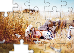 Kobieta, Łąka, Sen