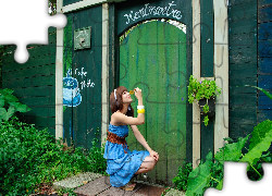 Brunetka, Roślinność, Drewniany, Płot, Drzwi