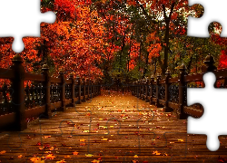 Most, Park, Kolorowe, Drzewa, Liście, Jesień
