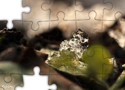 Topniejąca, Grudka, Śniegu