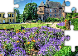 Zamek Linn, Burg Linn, Miejscowość Krefeld, Nardenia Północna-Westfalia, Niemcy, Ogród, Lawenda