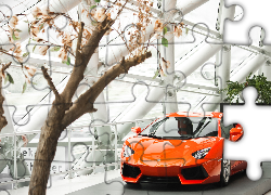 Salon, Samochodowy, Lamborghini, Aventador, 2013, Krzew, Magnolii