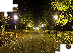 Park, Drzewa, Alejka, Oświetlenie