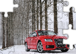 Czerwone, Audi S5, Las, Droga, Śnieg