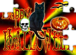 Halloween, czarny kot