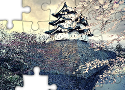 Japonia, Dom, Kwitnące, Drzewa