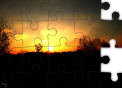 Zachód, Słońca, Drzewa