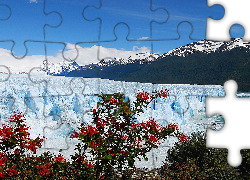 Lodowiec, Perito Moreno, Góry, Drzewa, Park Narodowy Los Glaciares, Prowincja Santa Cruz, Argentyna