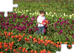 Tulipany, Pole, Dziecko, Chłopiec