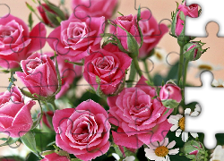Bukiet, Różowych, Róż, Rumianki