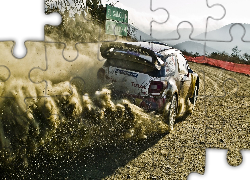 Rajdowy, Citroen, DS3, WRC