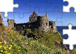 Zamek, Dunluce, Ruiny, Morze, Łąka, Irlandia, Północna