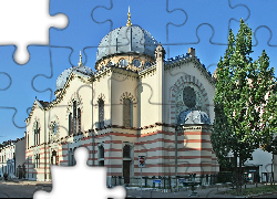 Bazylea, Domy, Synagoga, Drzewo
