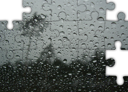 Deszcz, Krople, Las