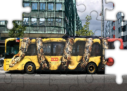 Autobus, Ulica, Drzewa, Wąż