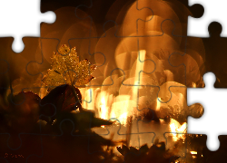 Liść, Wieczór, Na, Łące, Bokeh