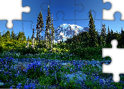 Góry, Kamienie, Drzewa, Niebieskie, Kwiaty