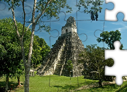 Gwatemala, Piramida, Jaguara, Drzewa