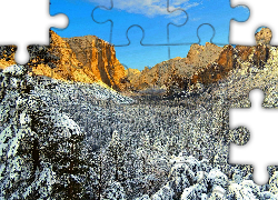 Zima, Góry, Ośnieżone, Drzewa