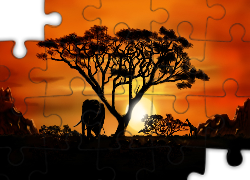 Słoń, Żyrafa, Safari
