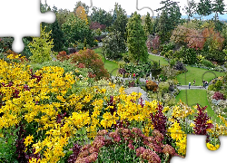 Vancouver, Park, Królowej, Elżbiety, Kwitnące, Kwiaty