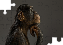 Zamyślona, Małpa, Szympans, Profil