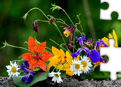 Bukiet, Kwiatów, Liść, Murek