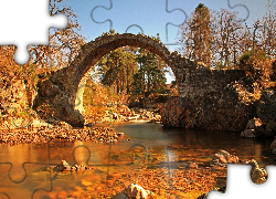 Rzeka, Stary, Kamienny, Most, Drzewa, Ruina
