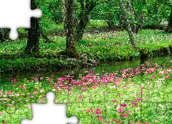 Park, Drzewa, Trawa, Rów, Różowe, Kwiaty