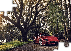 Ferrari F40, Drzewa