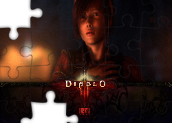 Diablo 3, Dziewczyna