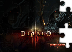 Diablo 3, Demon Hunter