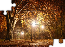 Park, Drzewa, Jesien