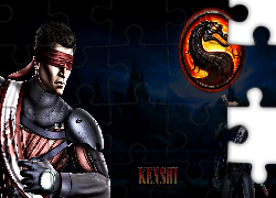 Mortal Kombat, Kenshi